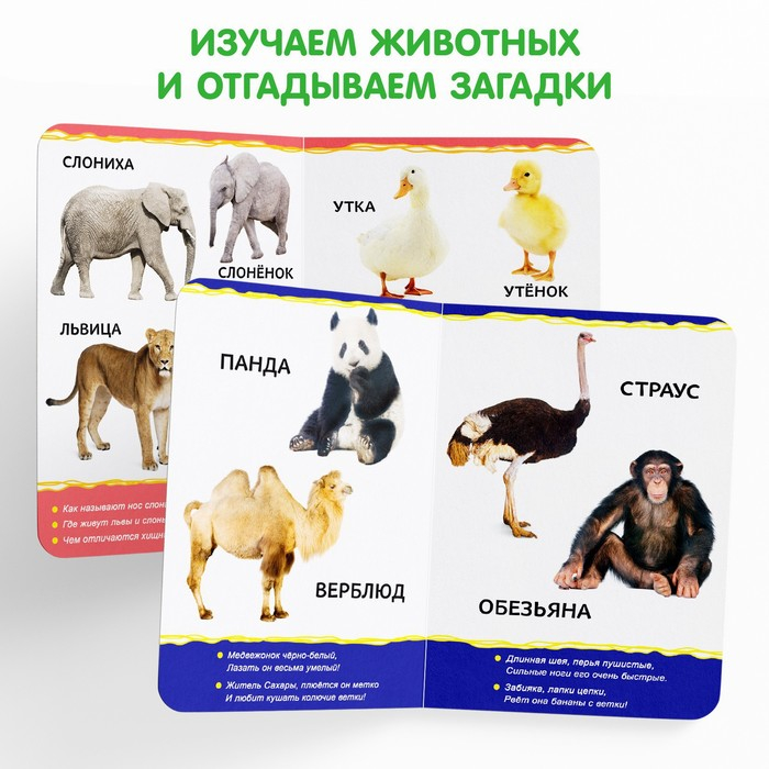 Книги картонные набор «Для малышей» № 1, 4 шт., 10 стр. Книги картонные набор «Для малышей» № 1, 4 шт., 10 стр.