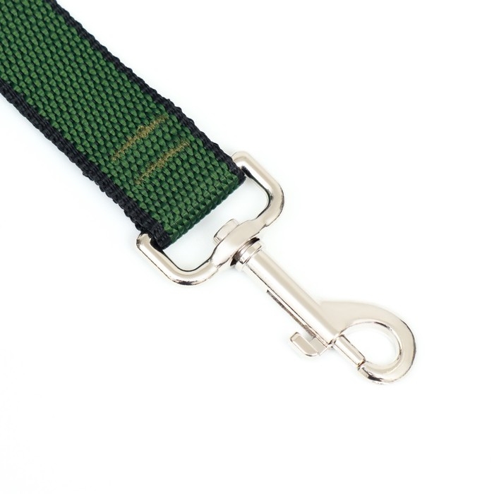 Поводок 1,2 м х 2,5 см, зелёно-черный Поводок 1,2 м х 2,5 см, зелёно-черный