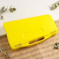 Музыкальный инструмент Металлофон Music Life, 25 тонов, футляр, 2 палочки, желтый Музыкальный инструмент Металлофон Music Life, 25 тонов, футляр, 2 палочки, желтый