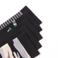 Набор мужских носков KAFTAN "Настоящему защитнику" 5 пар, размер 41-44 (27-29 см)