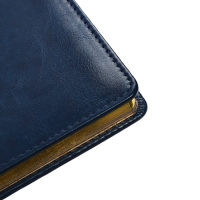 Ежедневник недатированный А4, 136 листов Sidney Nebraska, твёрдая обложка, искусственная кожа, золотой срез, ляссе, синий Ежедневник недатированный А4, 136 листов Sidney Nebraska, твёрдая обложка, искусственная кожа, золотой срез, ляссе, синий