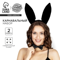 Карнавальный набор &laquo;Зайчик&raquo; (ушки+ бабочка)