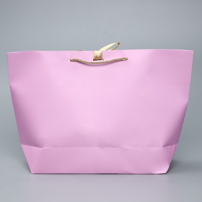 Пакет подарочный, упаковка, &laquo;Present&raquo;, 30 х 27.5 х 12 см