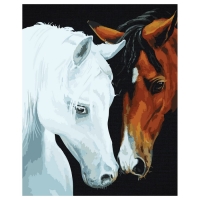 Картина по номерам &laquo;Нежные чувства&raquo;, 40 &times; 50 см, на черном холсте