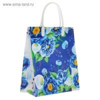 Пакет "Вивиан", мягкий пластик, 23 х 27 см, 150 мкм Пакет "Вивиан", мягкий пластик, 23 х 27 см, 150 мкм