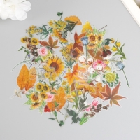 Наклейки для творчества пластик PVC "Разнообразие природы" набор 60 шт 10х14 см