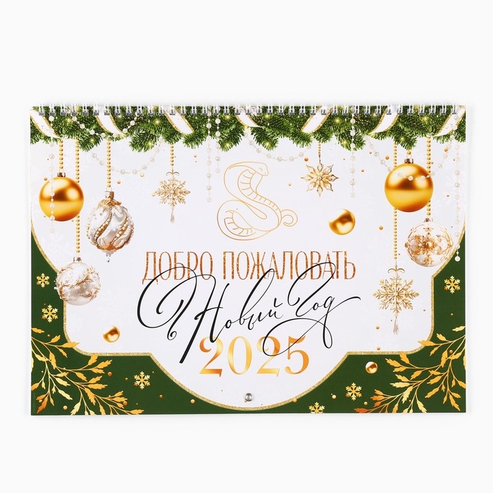 Календарь 2025 настенный, на спирали «Новый год: Добро пожаловать», 34 х 24 см Календарь 2025 настенный, на спирали «Новый год: Добро пожаловать», 34 х 24 см