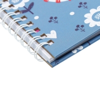 Записная книжка подарочная, 45 листов, линия, на замке, на гребне, Кот белый (17,8х13см) Записная книжка подарочная, 45 листов, линия, на замке, на гребне, Кот белый (17,8х13см)