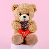 Мягкая игрушка &laquo;Ты лучше всех&raquo;, медведь, цвета МИКС