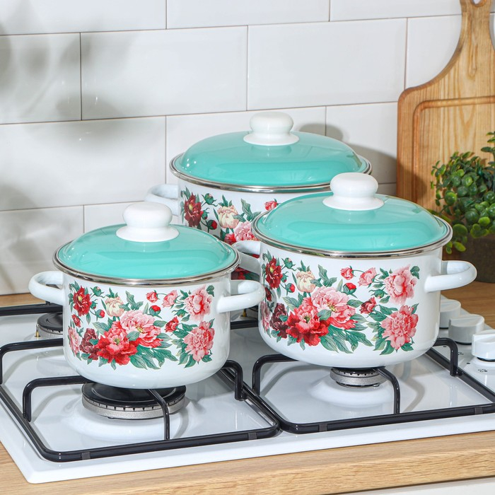 Набор кастрюль &laquo;Армель&raquo;, 3 предмета: 2 л, 3 л, 4 л, эмалированные крышки, индукция