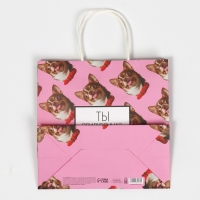 Пакет подарочный, упаковка, &laquo;Киса&raquo;, 22 х 22 х 11 см