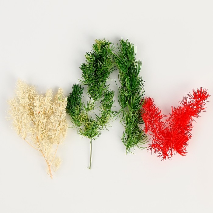 Набор сухоцветов &laquo;Яркий день&raquo;, цвет МИКС