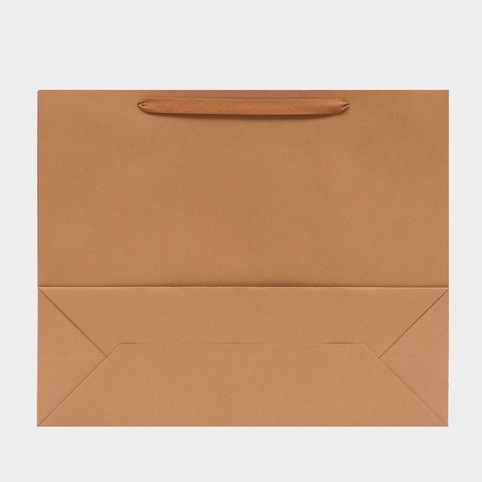 Пакет крафт без печати, 53 х 43.5 х 18 см 210 гр