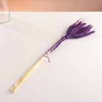 Набор сухоцветов "Сетария", банч 7 шт, длина 55-65 (+/- 6 см), фиолетовый