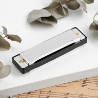 Губная гармошка Music Life, диатоническая, C-major, с футляром, серебристая Губная гармошка Music Life, диатоническая, C-major, с футляром, серебристая