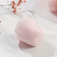 Мыльные лепестки "Разноцветные розы" набор 15 шт 5х16х13,6 см Мыльные лепестки "Разноцветные розы" набор 15 шт 5х16х13,6 см