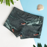 Трусы купальные KAFTAN "Alligator", рост 98-104 (30), хаки Трусы купальные KAFTAN "Alligator", рост 98-104 (30), хаки