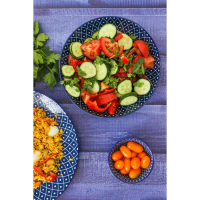 Тарелка глубокая керамическая Доляна &laquo;Бодом&raquo;, d=21 см, цвет синий