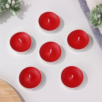 Набор чайных свечей ароматизированных "Цветущий сад" в подарочной коробке, 6 шт Набор чайных свечей ароматизированных "Цветущий сад" в подарочной коробке, 6 шт