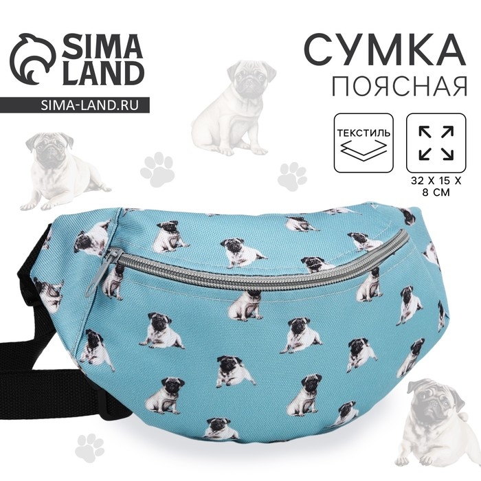 Поясная сумка на молнии, цвет голубой Поясная сумка на молнии, цвет голубой