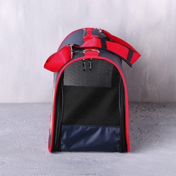 Сумка-переноска раскладная, каркасная &laquo;Погнали!&raquo; 45x27x20 см