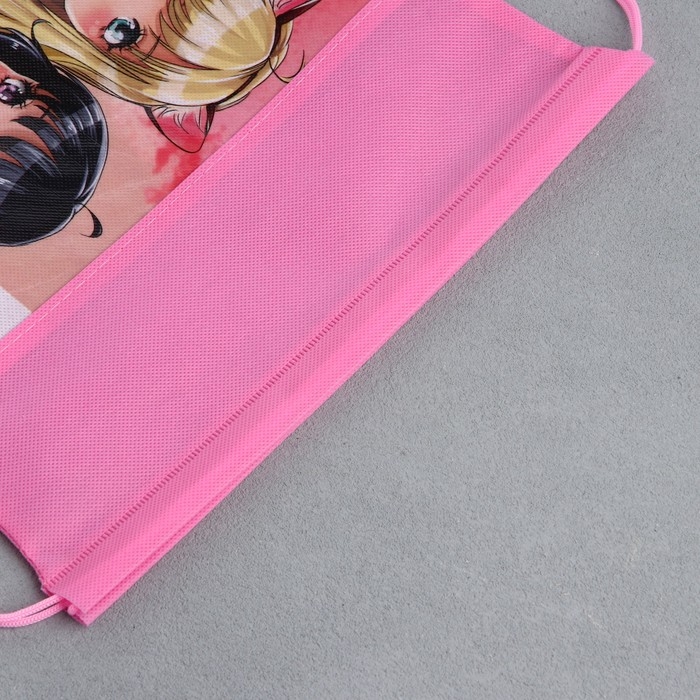 Мешок для обуви &laquo;Школьницы&raquo; полиэстер, размер 30 х 40 см