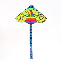 Воздушный змей &laquo;Насекомое&raquo;, с леской, цвета МИКС