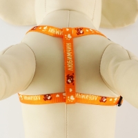 Комплект &laquo;Любимчик&raquo;, шлейка 24-34 см, поводок 120х1 см