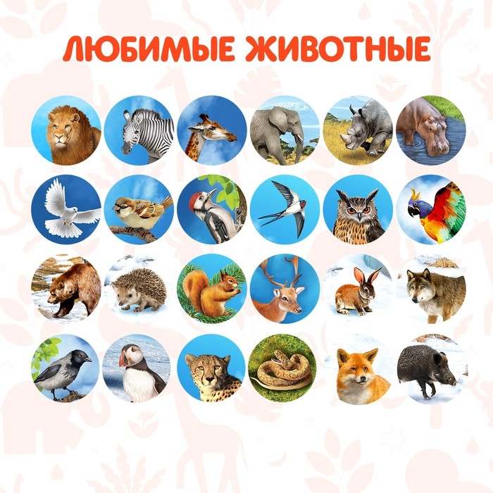 Проектор-фонарик &laquo;Мир зверей&raquo;, световые эффекты, 3 слайда, 24 картинки, МИКС