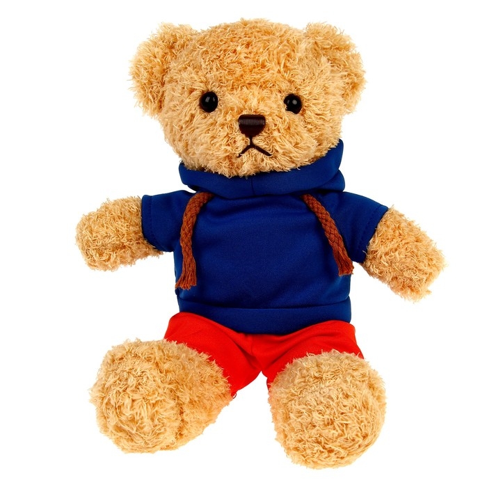 Мягкая игрушка &laquo;Мишка в кофточке&raquo;, цвета МИКС