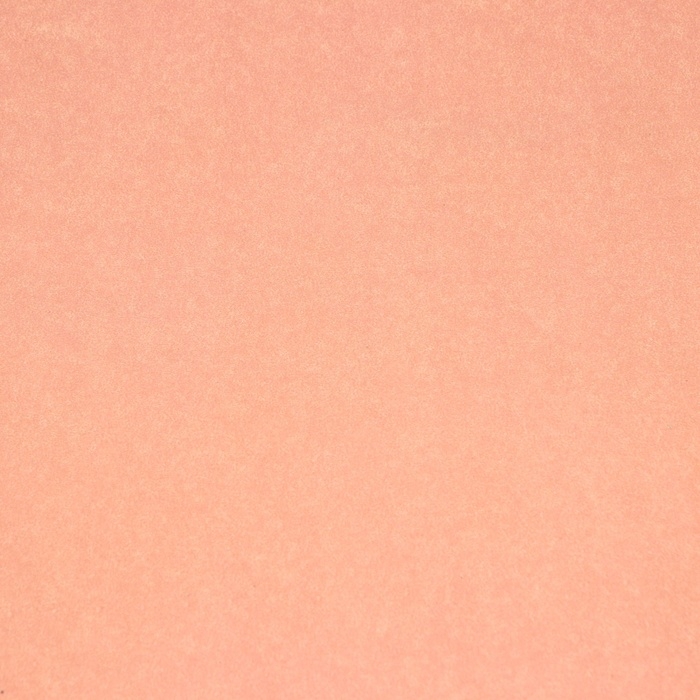 Пергамент флористический Пергамент флористический "Кофейный" 0,6 х 10 м, 52 г/м2