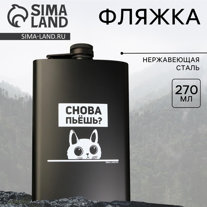 Фляжка &laquo;Снова пьешь?&raquo;, 270 мл