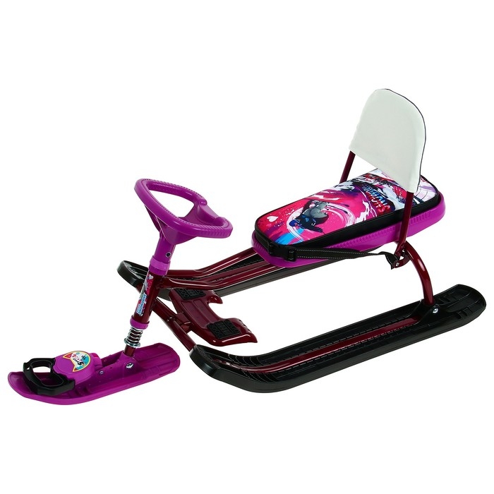 Снегокат &laquo;Тимка спорт 2+ Гонщик&raquo;, ТС2+/Г