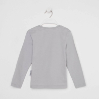 Джемпер детский Disney "Тачки", рост 110-116 (32), серый Джемпер детский Disney "Тачки", рост 110-116 (32), серый