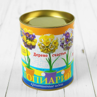 Набор для творчества топиарий малый &laquo;Крокусы&raquo;, фиолетовый/жёлтый, 13 см