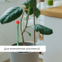 Термометр для измерения температуры почвы и воды, Greengo Термометр для измерения температуры почвы и воды, Greengo