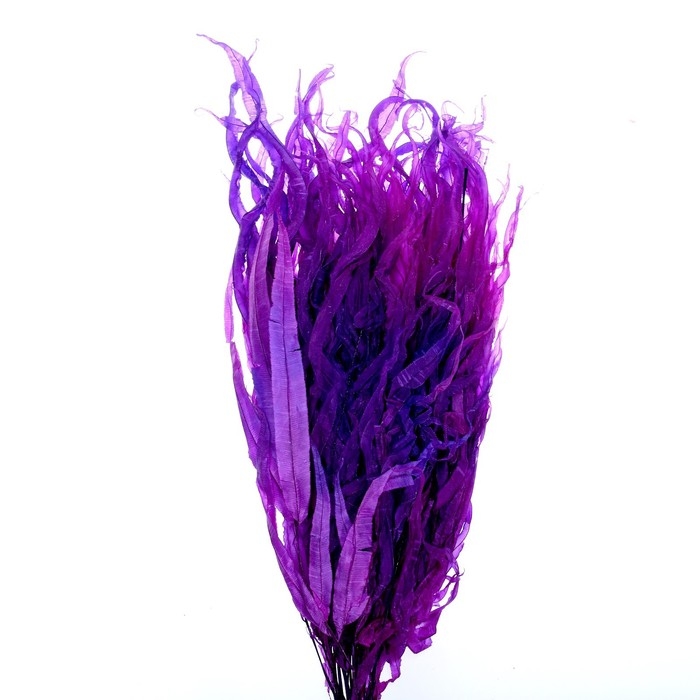 Сухоцвет &laquo;Ситник&raquo;, фиолетовый, 15 шт. в упаковке