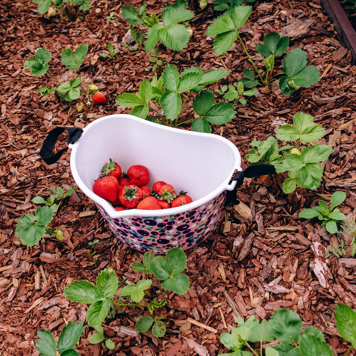 Ёмкость для сбора ягод, 3 л, &laquo;Ягодный&raquo;, белая