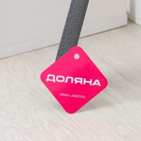 Ложка для обуви с крючком, 56,5&times;4,5 см, металл, цвет МИКС