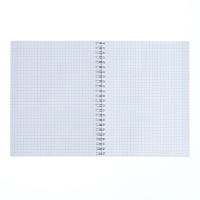 Тетрадь 48 листов, в клетку, на гребне "Моноколор.Классика", обложка мелованный картон, вд-лак, МИКС Тетрадь 48 листов, в клетку, на гребне "Моноколор.Классика", обложка мелованный картон, вд-лак, МИКС