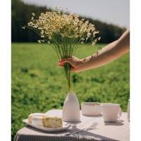 Ваза сервировочная SL Home &laquo;Арена Бланка&raquo;, 9&times;9&times;13,5 см