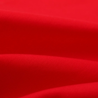 Набор салфеток Этель New year collection,красный 30х40 см, 2 шт, 100% хл, саржа 190 г/м2