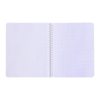 Тетрадь 48 листов в клетку на гребне "Гарри Поттер", обложка мелованный картон, матовая ламинация, 3D фольга, блок офсет, 4 вида МИКС Тетрадь 48 листов в клетку на гребне "Гарри Поттер", обложка мелованный картон, матовая ламинация, 3D фольга, блок офсет, 4 вида МИКС