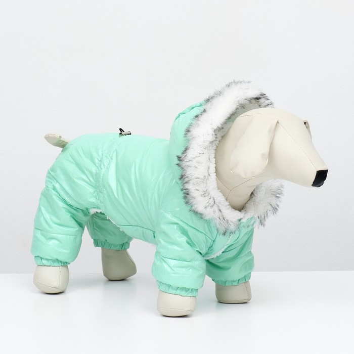 Комбинезон "Глянец", размер 2XL (ДС 44, ОГ 59, ОШ 44 см), мятный