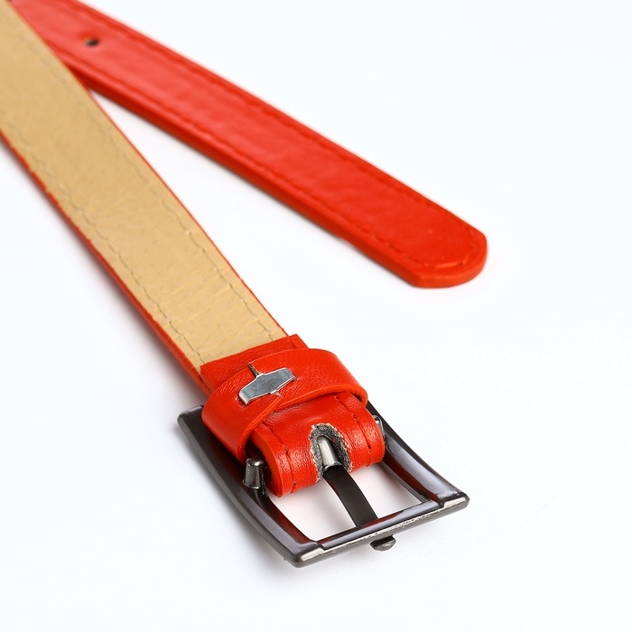 Ремень жен 01-01-03-01 Июнь15, 1,1*0,3*110 см, пряжка т-металл, 1 прокол, красный Ремень жен 01-01-03-01 Июнь15, 1,1*0,3*110 см, пряжка т-металл, 1 прокол, красный