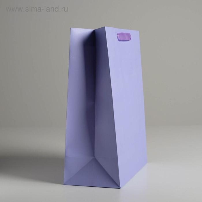 Пакет подарочный, упаковка, «Сиреневый», 26 х 32 х 12 см Пакет подарочный, упаковка, «Сиреневый», 26 х 32 х 12 см