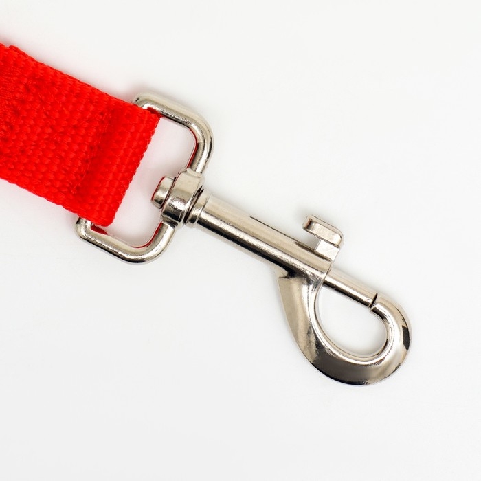 Поводок 1,2 м х 2,5 см, красный