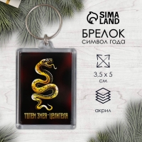 Новогодний брелок "Тотем" 3,5х5 см Новогодний брелок "Тотем" 3,5х5 см