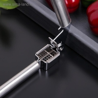 Пресс для чеснока Доляна «Металлик», 19,5 см, цвет серебряный Пресс для чеснока Доляна «Металлик», 19,5 см, цвет серебряный