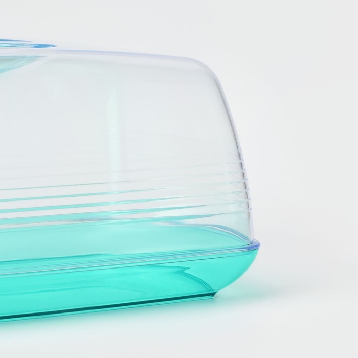 Хлебница &laquo;Fresh&raquo;, 23,5&times;14&times;10 см, цвет мятный-полупрозрачный